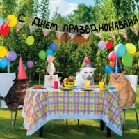 Открытка "С днем празднования"