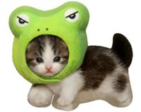 Мягкая игрушка "Кот в шапке лягушки" (30 см)