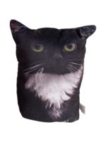 Мягкая игрушка "Кот Чмоня мини" (22 см)