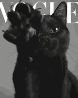 Картина по номерам "Кот Vogue" (400х500 мм)