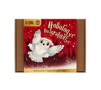 Подарочный набор "Новогодус Поздравлятус"