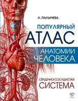 Популярный атлас анатомии человека. Сердечно-сосудистая система