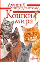 Кошки мира