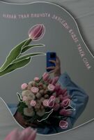 Паштоўка "Твая пяшчота"