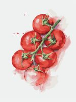 Картина по номерам "Краски томатов Черри" (300х400 мм)