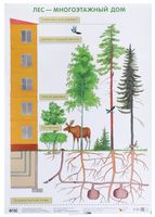 Лес – многоэтажный дом. Плакат