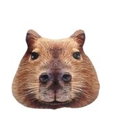 Мягкая игрушка "Мордочка Капибара" (30 см)