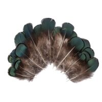 Перо фазана обработанное (20 шт.)