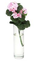 Цветок искусственный "Букет. Герань" (350 мм; светло-розовый)