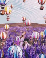 Картина по номерам "Лиловый сон" (400х500 мм)