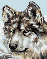 Картина по номерам "Серый волк" (160х130 мм)