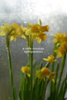 Открытка "В тебе столько прекрасного"