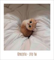 Открытка "Красота – это ты"