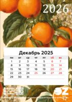 Календарь на магните на 2026 год "Спелые апельсины" (9,5х13,5 см)