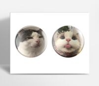 Набор значков "Коты мемные"