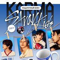 Подарочный набор "Stray kids. Karma"