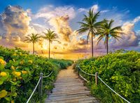 Пазл "Восход солнца в Майами" (3000 элементов)