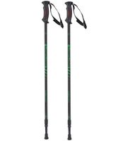 Палки для скандинавской ходьбы двухсекционные "Oxygen" (77-135 см; чёрно-зелёные)