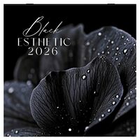 Календарь настенный на 2026 год "Black esthetic" (28,5х28,5 см)