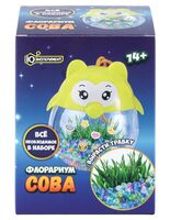 Набор для выращивания растений "Флорариум. Сова"