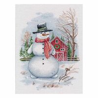 Набор для вышивания "Мистер С" (180х260 мм)