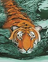 Алмазная вышивка-мозаика "Тигровые воды" (380х480 мм)