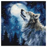 Набор для вышивания "Полуночный снегопад" (240х240 мм)