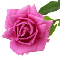 Цветок искусственный "Роза с листьями" (720 мм)