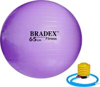 Фитбол "Bradex SF 0718" (65 см; с насосом)