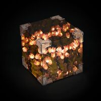 Ночник "С тюльпанами"