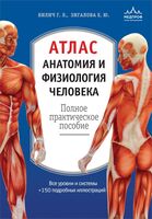 Атлас. Анатомия и физиология человека
