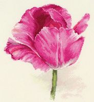 Вышивка крестом "Тюльпаны. Малиновое сияние" (220х260 мм)
