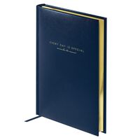 Ежедневник недатированный "Dallas. Blue" (А5)