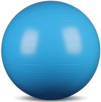 Мяч гимнастический IN001 (55 см; голубой)