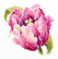 Вышивка крестом "Розовый тюльпан" (110х110 мм)