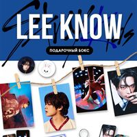 Подарочный набор "Минхо. Stray kids Karma"