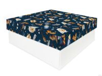 Подарочная коробка "Вселенная Гарри Поттера" (24х24х10 см)